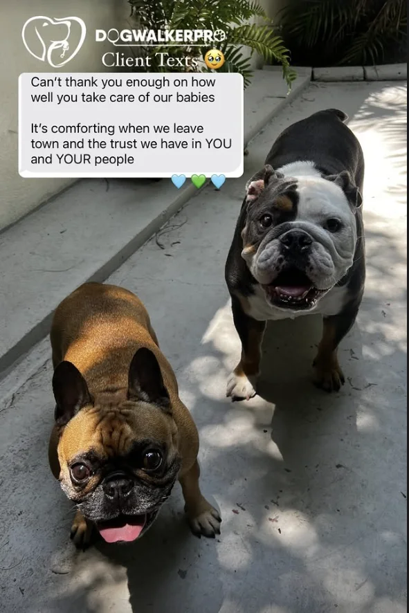 DWP Pack: a message from their family to Dog Walker Pro