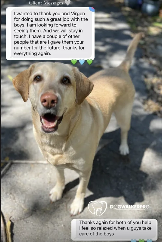 The Boys: a message from their family to Dog Walker Pro